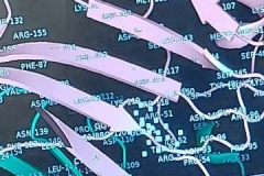 WhatsApp-Image-2022-11-30-at-12.59.10-PM