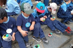 IMG_20221114_125316606