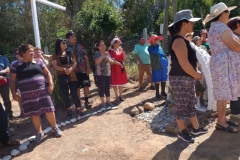 IMG_20221217_162945361