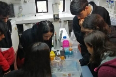 WhatsApp-Image-2022-10-28-at-6.33.00-PM